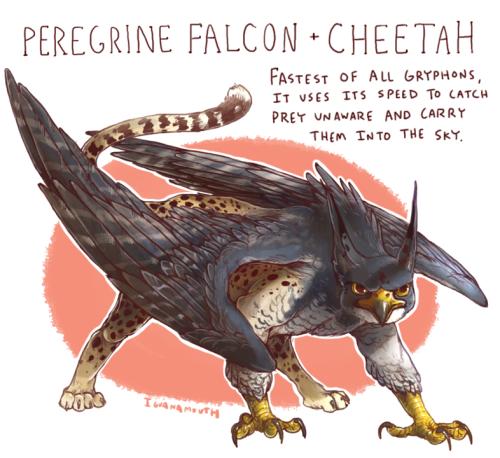 PEREGRINE FALCON CHEETAH FAstest OF ALL GRYPHoNS I1 vses 115 SPEED To ATCH PRET UNAWARE AND ARRY THEm TnTo THE SKY