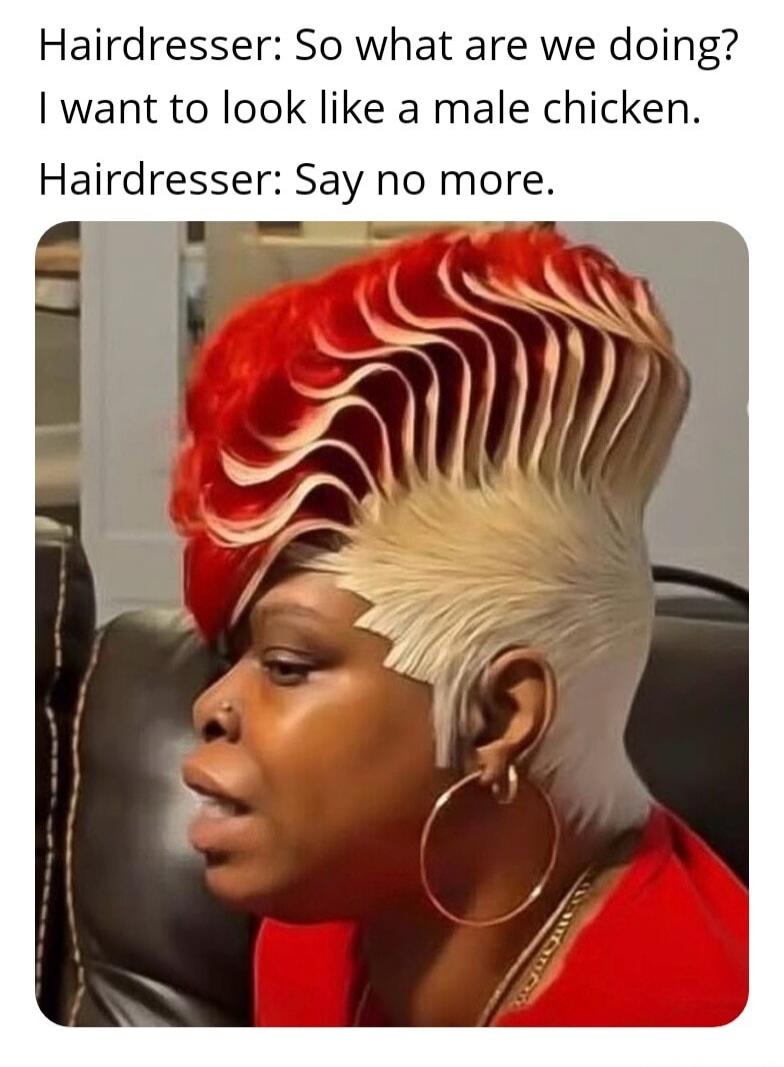 Hairdresser: So what are we doing? I want to look like a male chicken.
Hairdresser: Say no more.