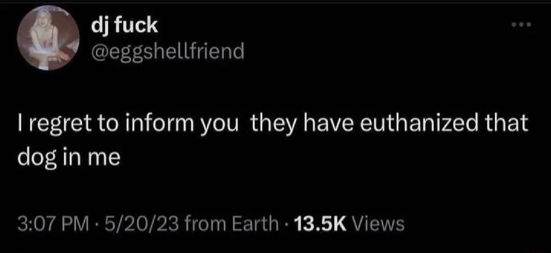 dj fuck eggshellfriend regret to inform you they have euthanized that dog in me 307 PM 52023 from Earth 135K Views