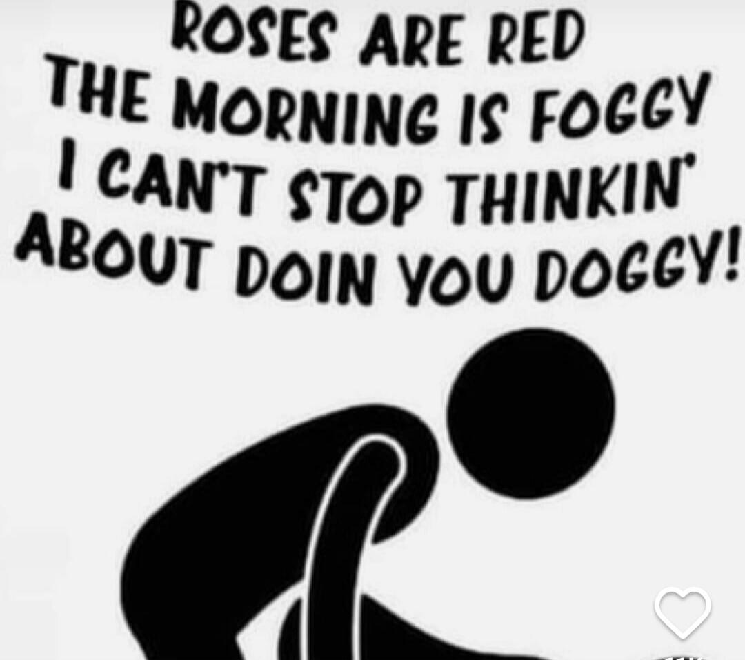 ROSES ARE RED THE MORNING IS FOGGY I CAN'T STOP THINKIN' ABOUT DOIN YOU DOGGY!