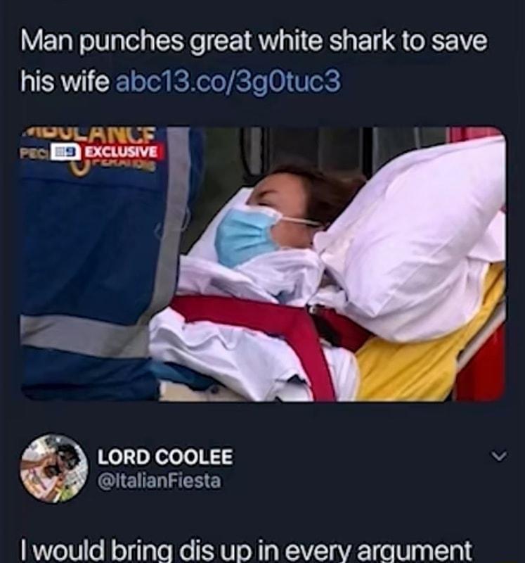 Man punches great white shark to save his wife abc13co3g0tuc3 TOULANUF I LORD COOLEE v ItalianFiesta would bringa dis up in every araument
