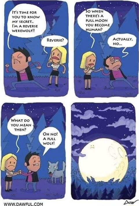 175 Time FoR YOU TO KNOW Y SECRET Im A ReEVERSE WEREWOLFI