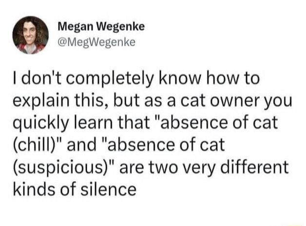 Megan Wegenke MegWegenke dont completely know how to explain this but as a cat owner you quickly learn that absence of cat chill and absence of cat suspicious are two very different kinds of silence