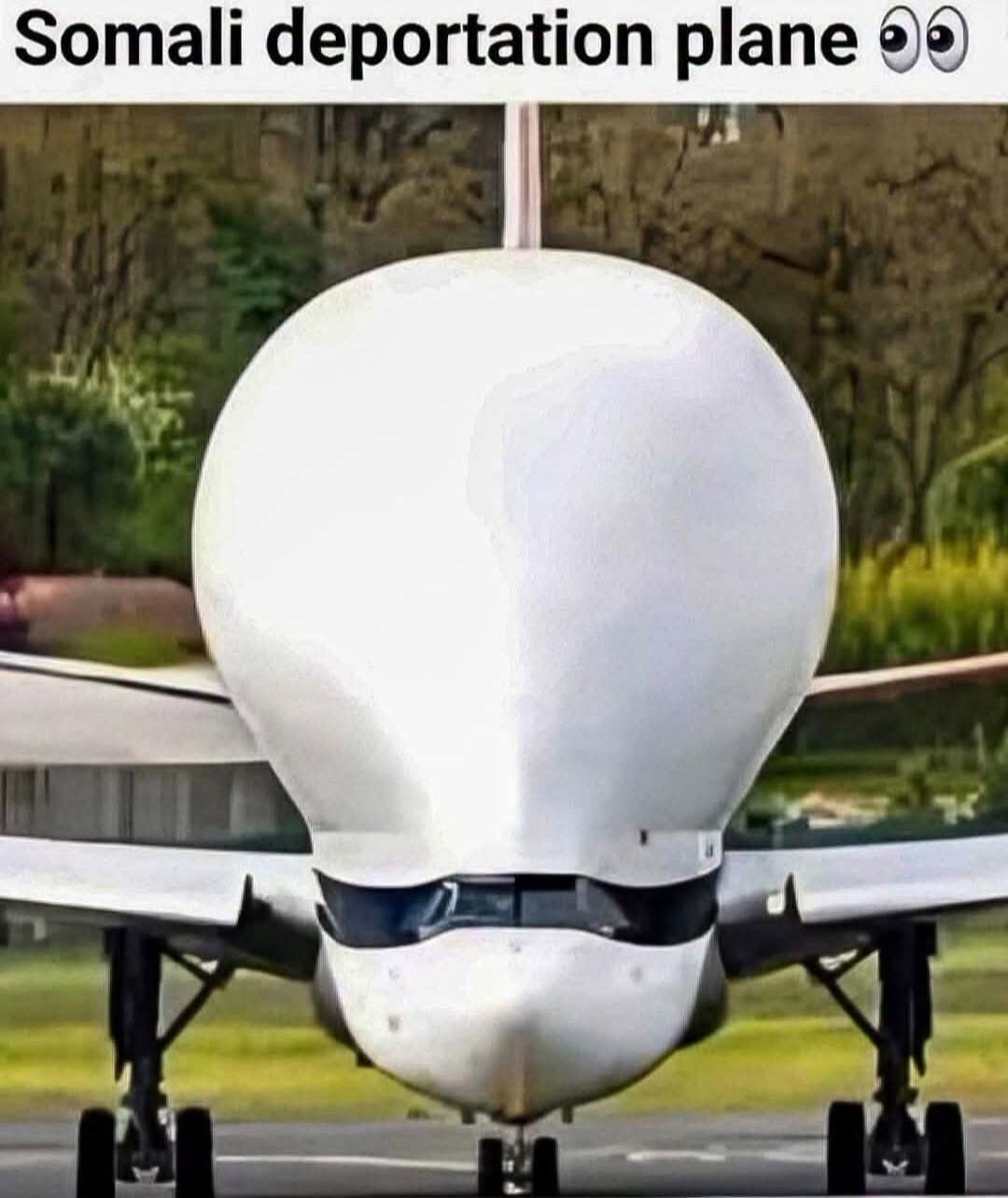 Somali deportation plane 👀