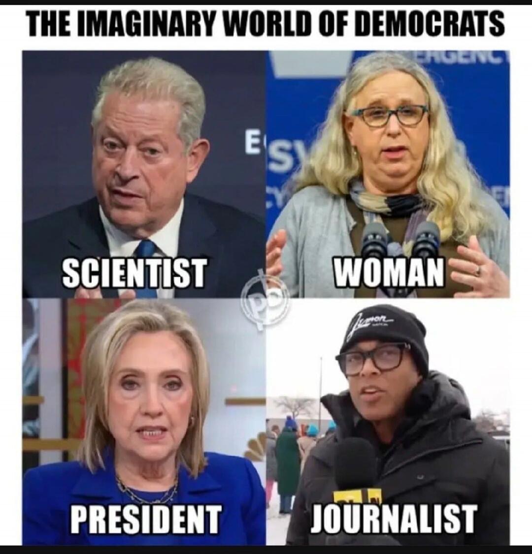 THE IMAGINARY WORLD OF DEMOCRATS SCIENTIST WOMAN PRESIDENT JOURNALIST