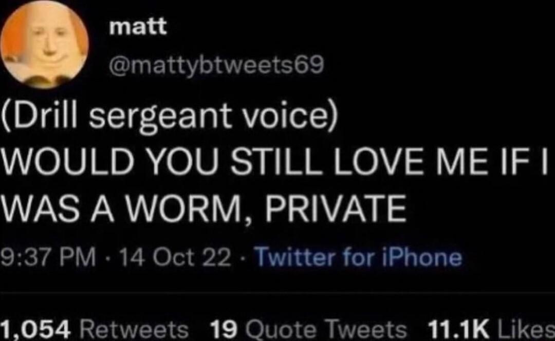 matt mattybtweets69 Drill sergeant voice WOULD YOU STILL LOVE ME IF WAS A WORM PRIVATE 937 PM 14 Oct 22 Twitter for iPhone 1054 Retweets 19 Quote Tweets 111K Likes