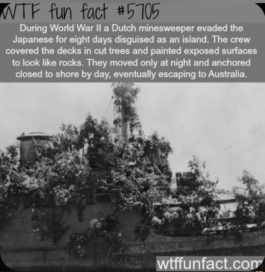 During World War II a Dutch minesweeper evaded the Japanese for eight days disguised as an island. The crew covered the decks in cut trees and painted exposed surfaces to look like rocks. They moved only at night and anchored close to shore by day, eventually escaping to Australia.