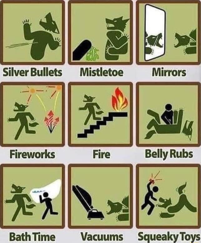 Silver Bullets Mlstletoe Mirrors Fire Belly Rubs BathTime Vacuums SqueakyToys