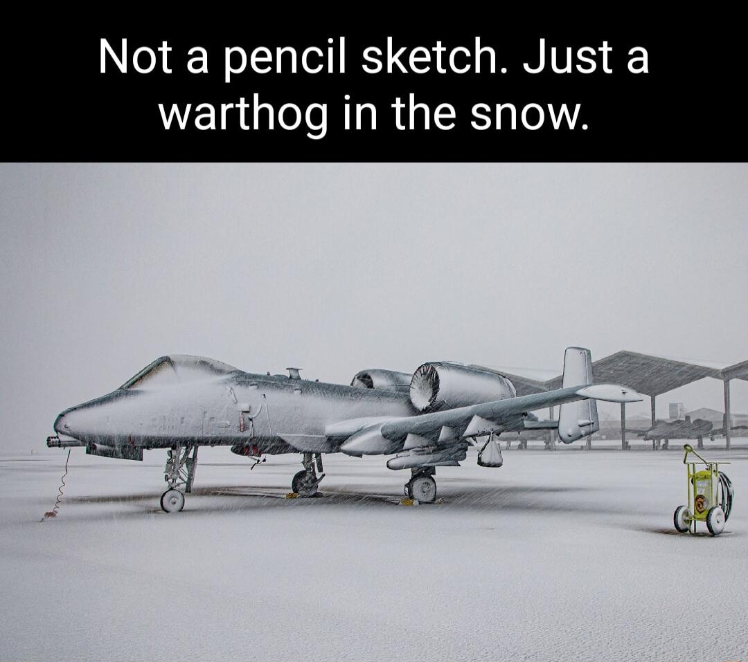 Lo o TTo ot BT 1 o s M TES warthog in the snow