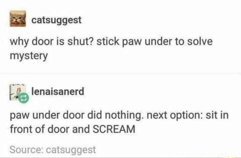 catsuggest why door is shut stick paw under to solve mystery l b lenaisanerd paw under door did nothing next option sit in front of door and SCREAM Source catsuggest