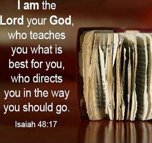 I am the Lord your God, who teaches you what is best for you, who directs you in the way you should go. Isaiah 48:17