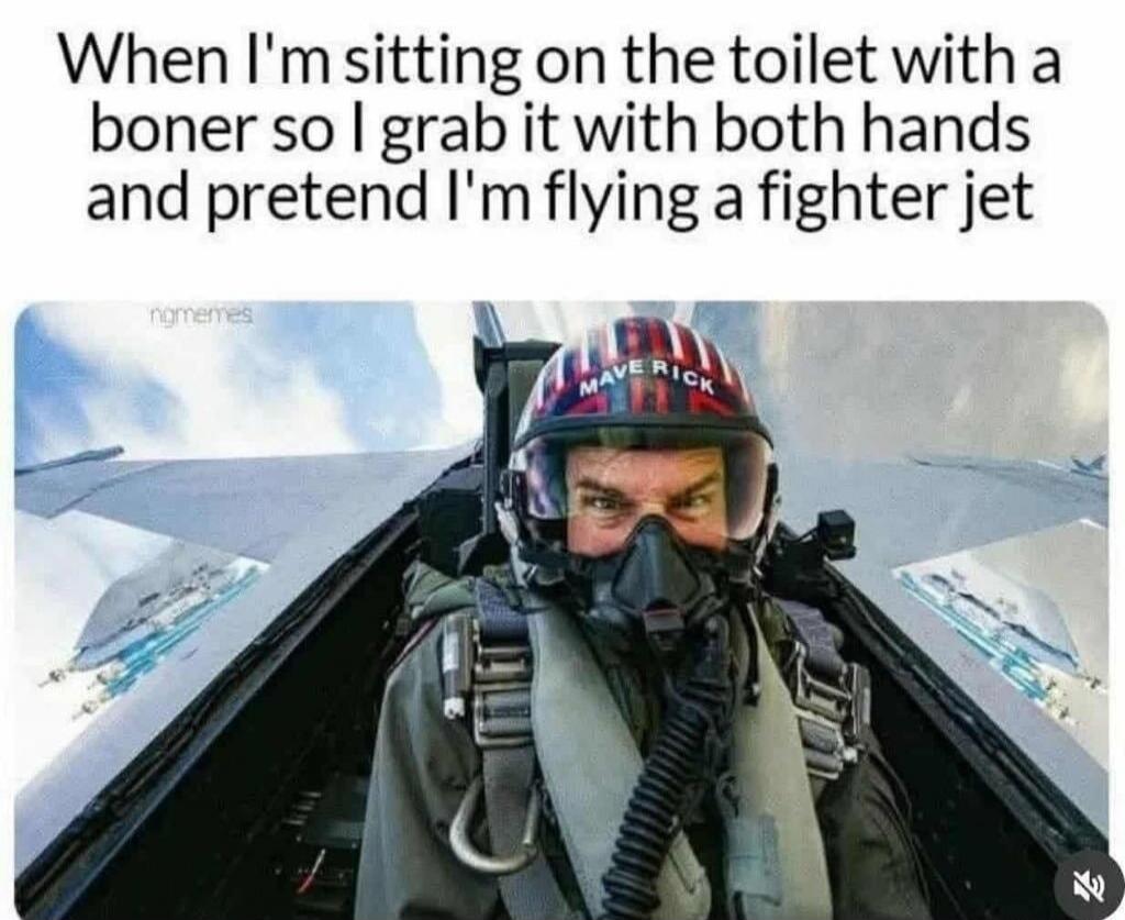 When I'm sitting on the toilet with a boner so I grab it with both hands and pretend I'm flying a fighter jet ngmemes MAVERICK