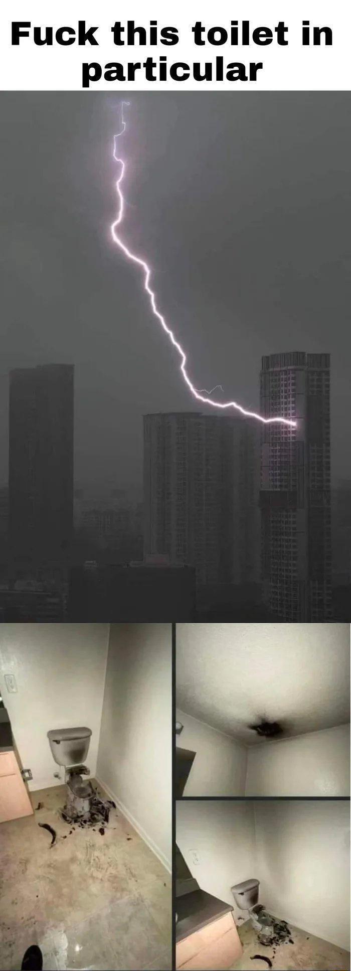 Fuck this toilet in particular