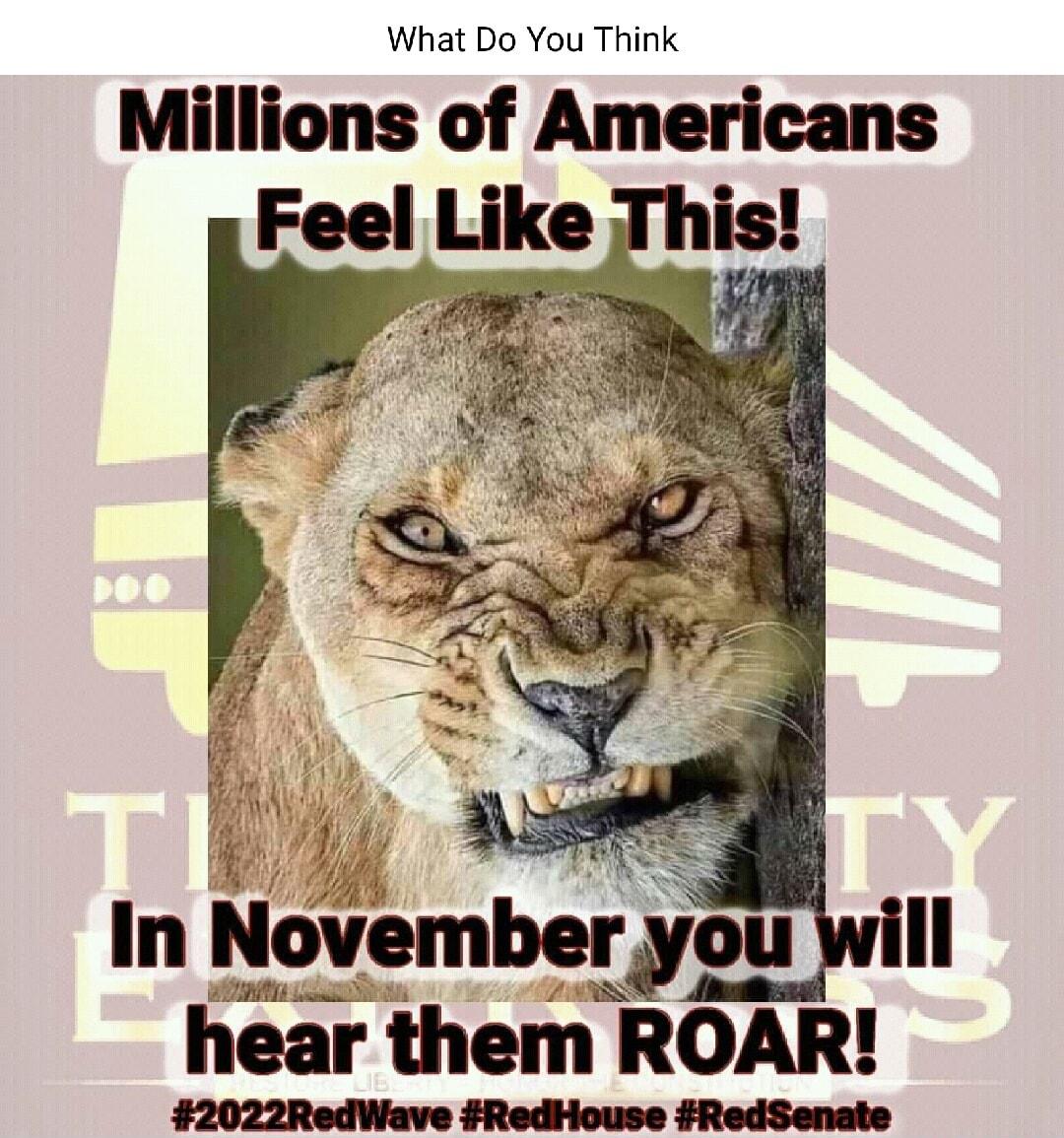 What Do You Think Millions of Americans In lhlovembergyou will hear them ROAR