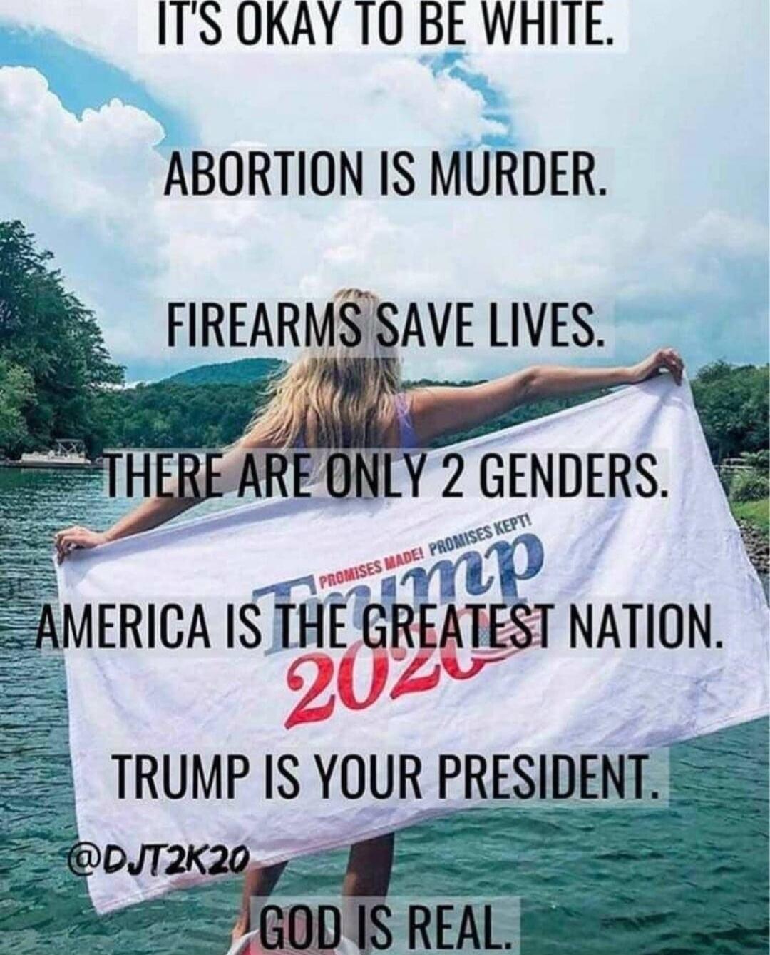 IT'S OKAY TO BE WHITE. ABORTION IS MURDER. FIREARMS SAVE LIVES. THERE ARE ONLY 2 GENDERS. AMERICA IS THE GREATEST NATION. PROMISES MADE! PROMISES KEPT! TRUMP 2020. TRUMP IS YOUR GREATEST PRESIDENT. @DJT2K20. GOD IS REAL.
