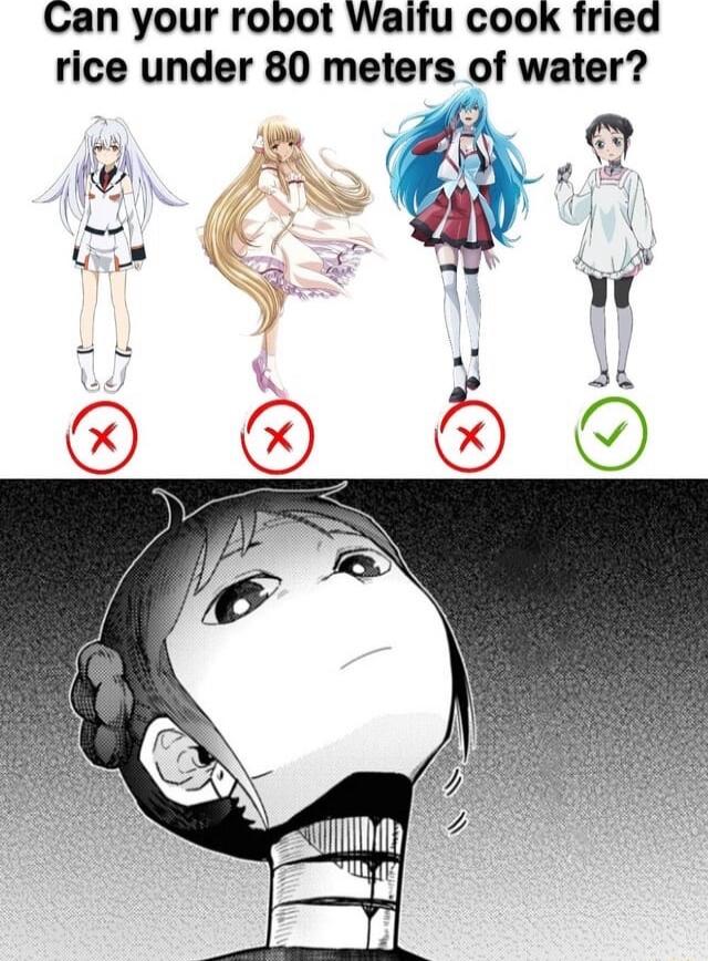 Can your robot Waifu cook fried rice under 80 meters of water g