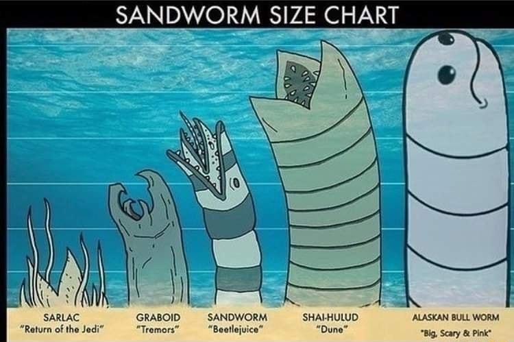 SANDWORM SIZE CHART omion sowom s S