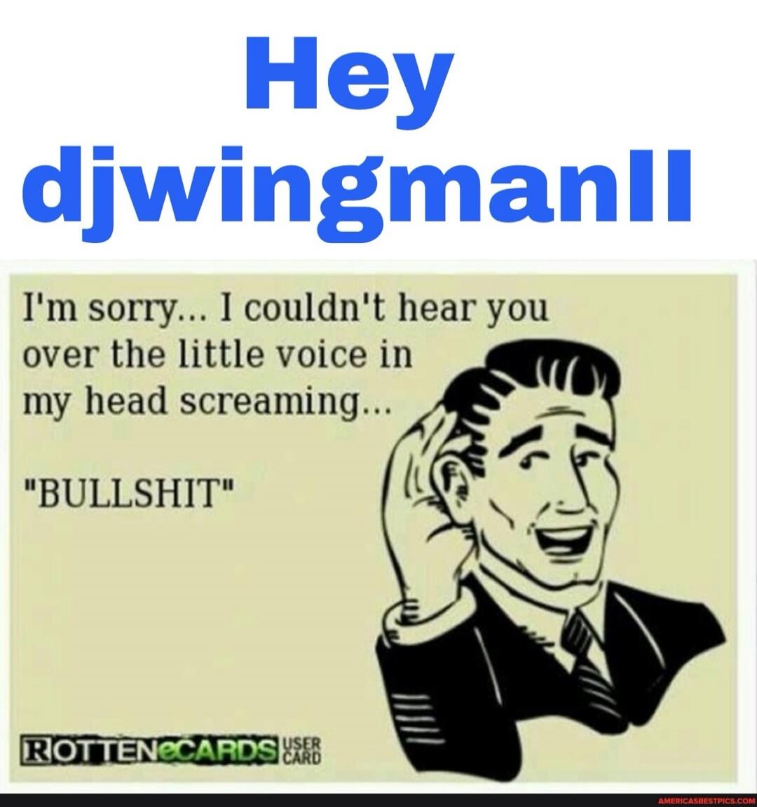 Hey djwingmanll I'm sorry... I couldn't hear you over the little voice in my head screaming... 