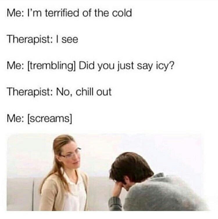 Me Im terrified of the cold Therapist see Me trembling Did you just say icy Therapist No chill out Me screams