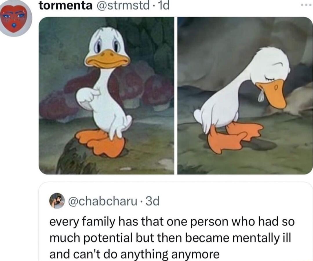 tormenta strmstd 1d chabcharu 3d every family has that one person who had so much potential but then became mentally ill and cant do anything anymore