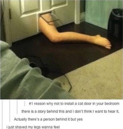 1 rea not o Install a cat door In your bedroom there is a story behind this and dont think want to hear it Actually theres a person behind it but yes st shaved my legs wanna feel