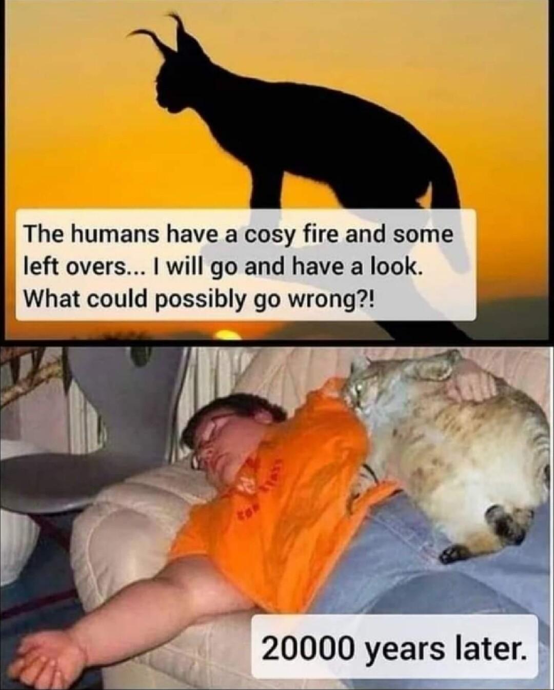 The humans have a cosy fire and some left overs will go and have a look What could possibly go wrong 20000 years later enns