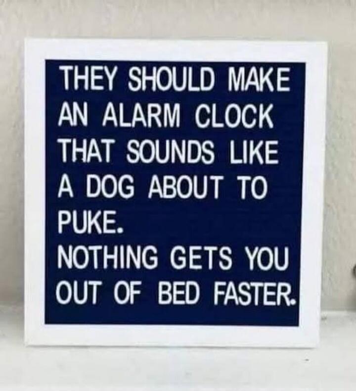 THEY SHOULD MAKE AN ALARM CLOCK THAT SOUNDS LIKE A DOG ABOUT TO PUKE. NOTHING GETS YOU OUT OF BED FASTER.
