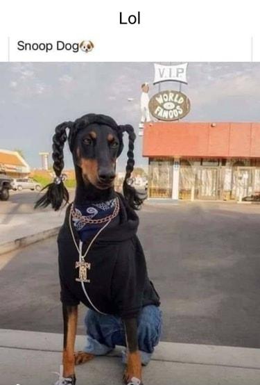 Snoop Dog R