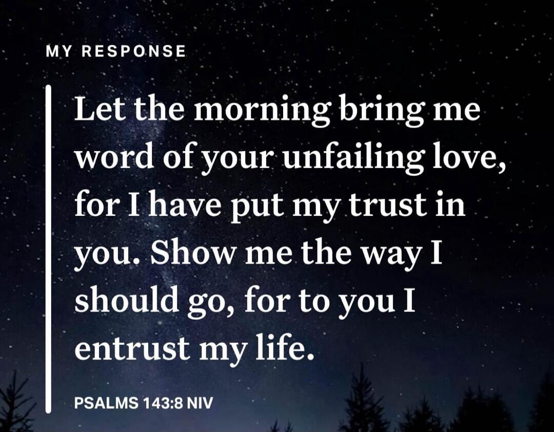 MY RESPONSE
Let the morning bring me word of your unfailing love, for I have put my trust in you. Show me the way I should go, for to you I entrust my life.
PSALMS 143:8 NIV