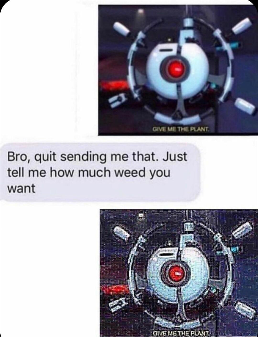 Bro quit sending me that Just tell me how much weed you want