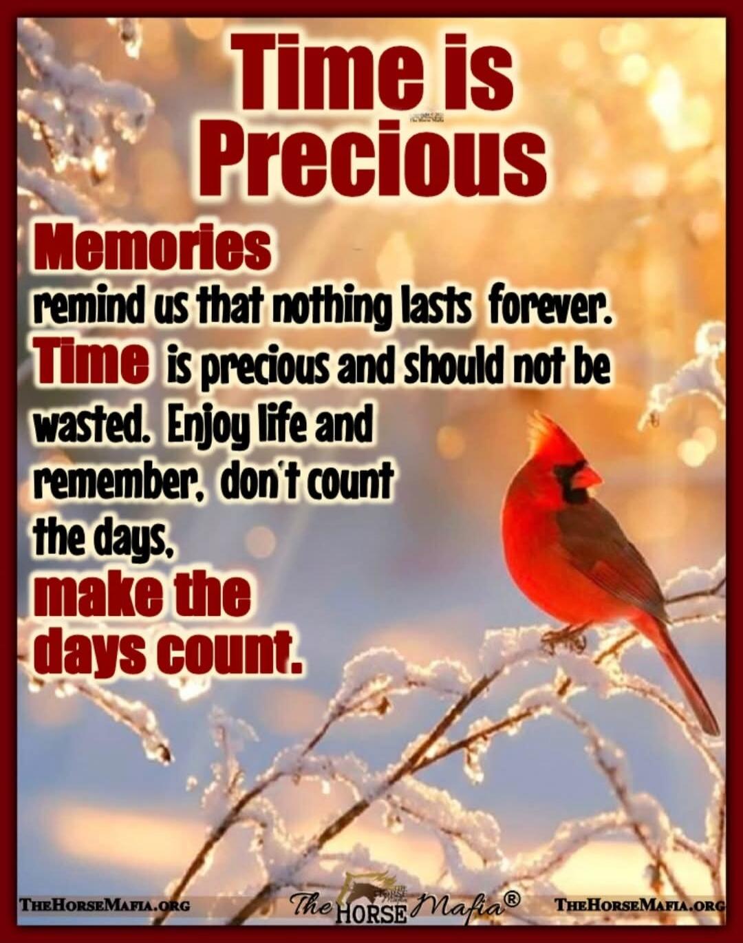 Time is Precious. Memories remind us that nothing lasts forever. Time is precious and should not be wasted. Enjoy life and remember, don't count the days. Make the days count.