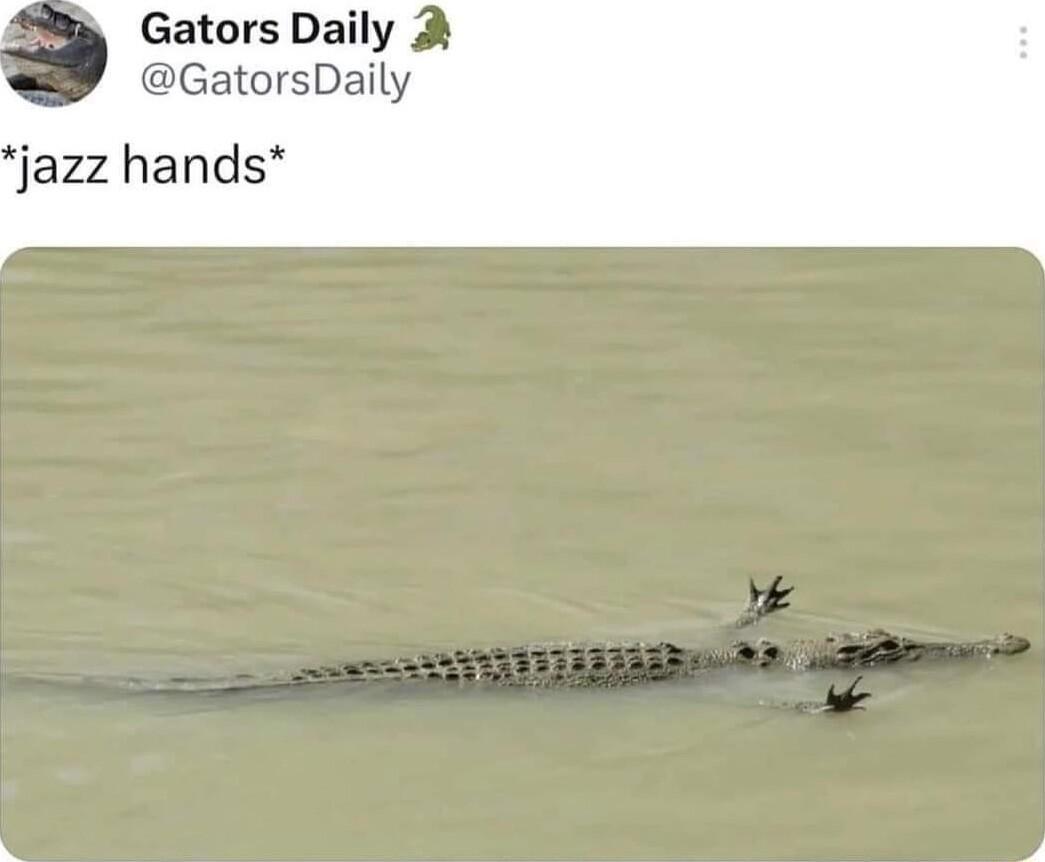Gators Daily 2 GatorsDaily