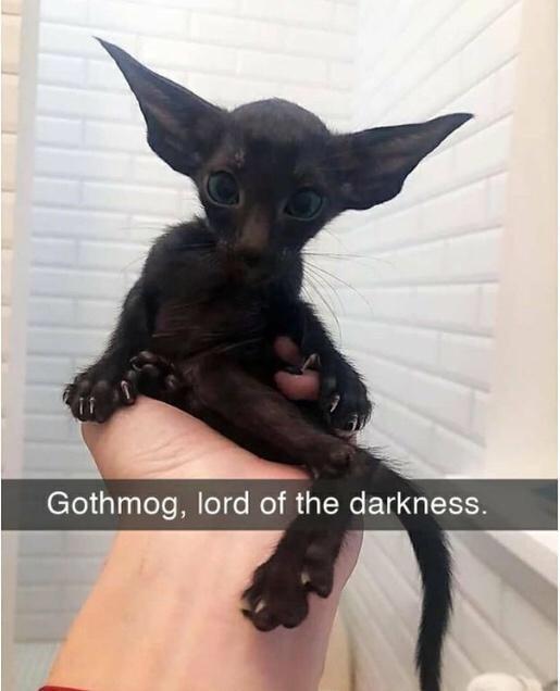 Gothmog lord of the darkness