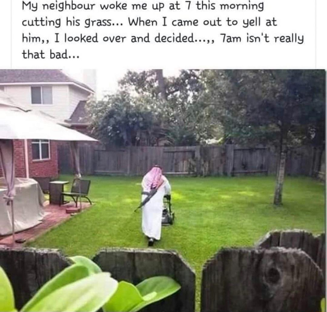 My neighbour woke me up at 7 this morning cutting his grass When I came out to yell at him I looked over and decided Tam isnt really that bad