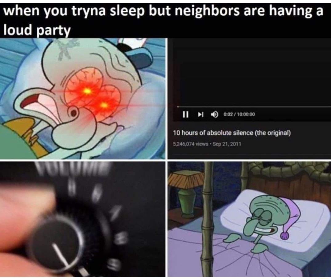 when you tryna sleep but neighbors are having a 11 oco2100000 10 hours of absolute silence the original