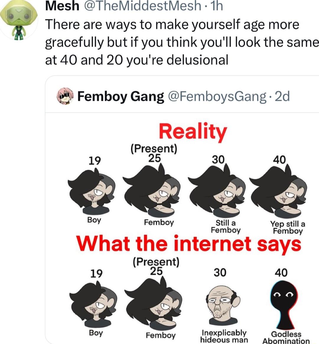 Mesh TheMiddestMesh 1h There are ways to make yourself age more gracefully but if you think youll look the same at 40 and 20 youre delusional Femboy Gang FemboysGang 2d Reall Presem Ry s s What the internet says Present 19 25 30 e et man alocees