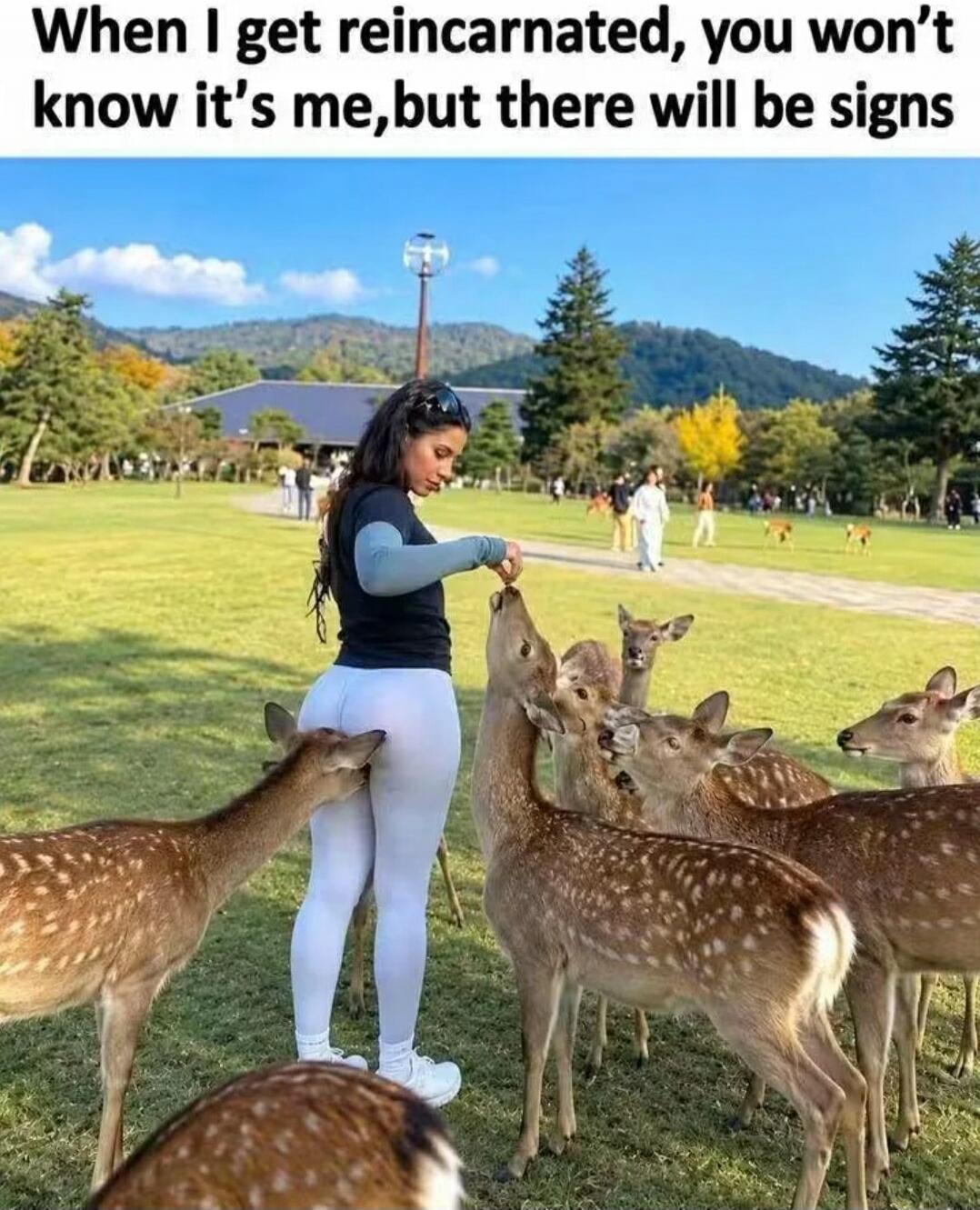 When I get reincarnated, you won't know it's me, but there will be signs