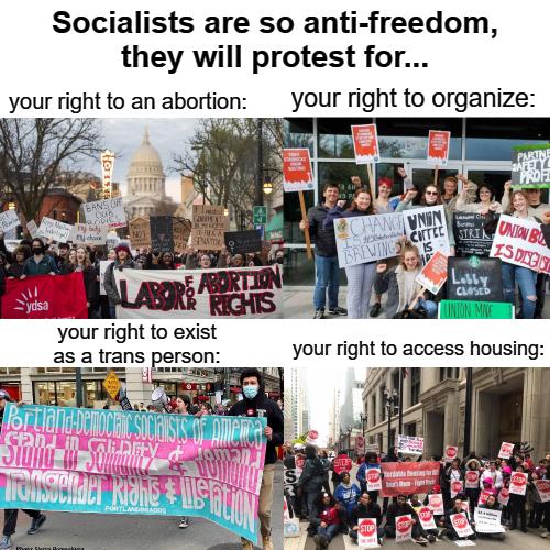 Socialists are so anti freedom they will protest for your right to an abonlon your right to organize your right to exist as a trans
