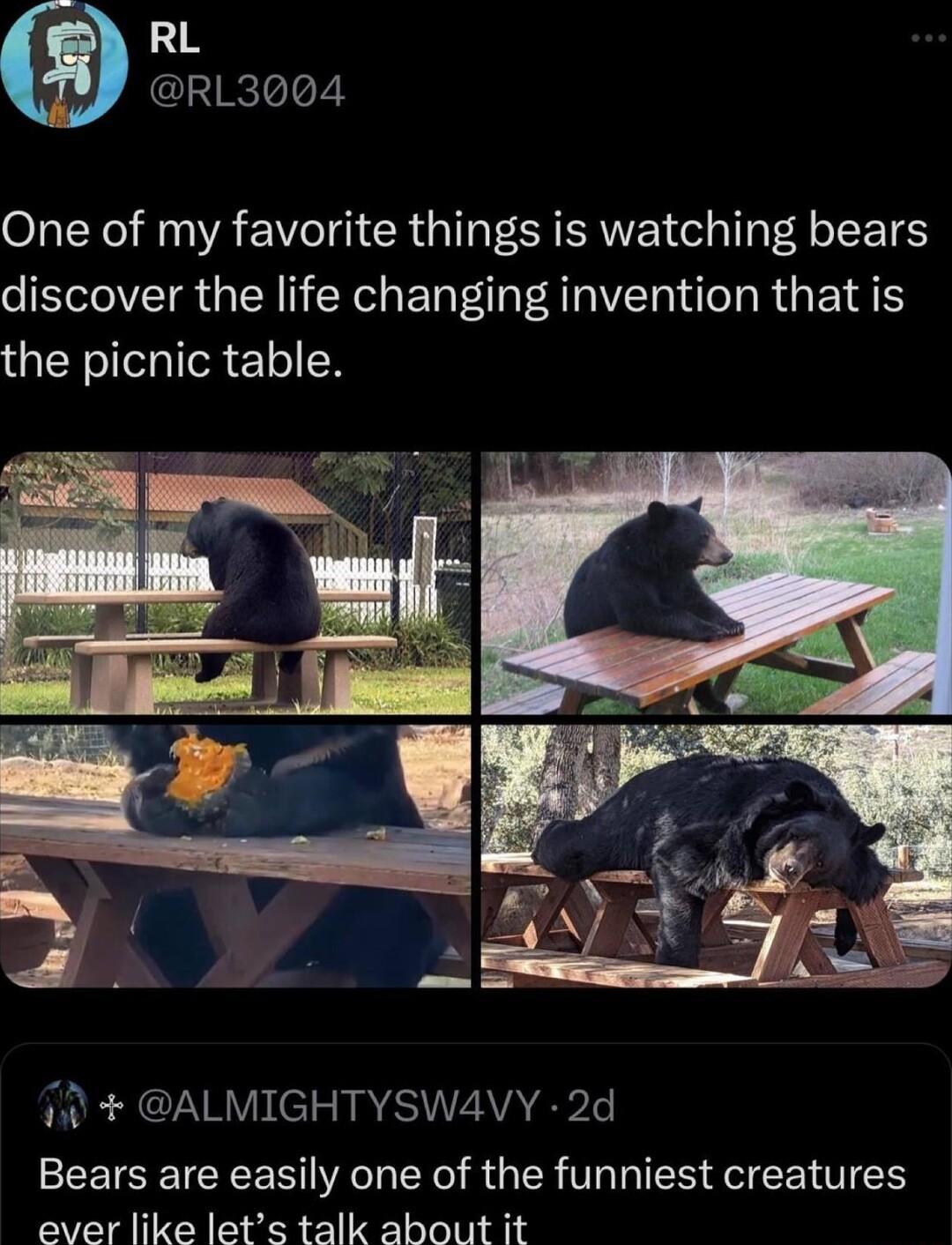 RL RL3004 SR NVAEWG R IS ERVEI L T IEETE discover the life changing invention that is the picnic table 7 ALMIGHTYSWA4VY 2d Bears are easily one of the funniest creatures ever like lets talk about it