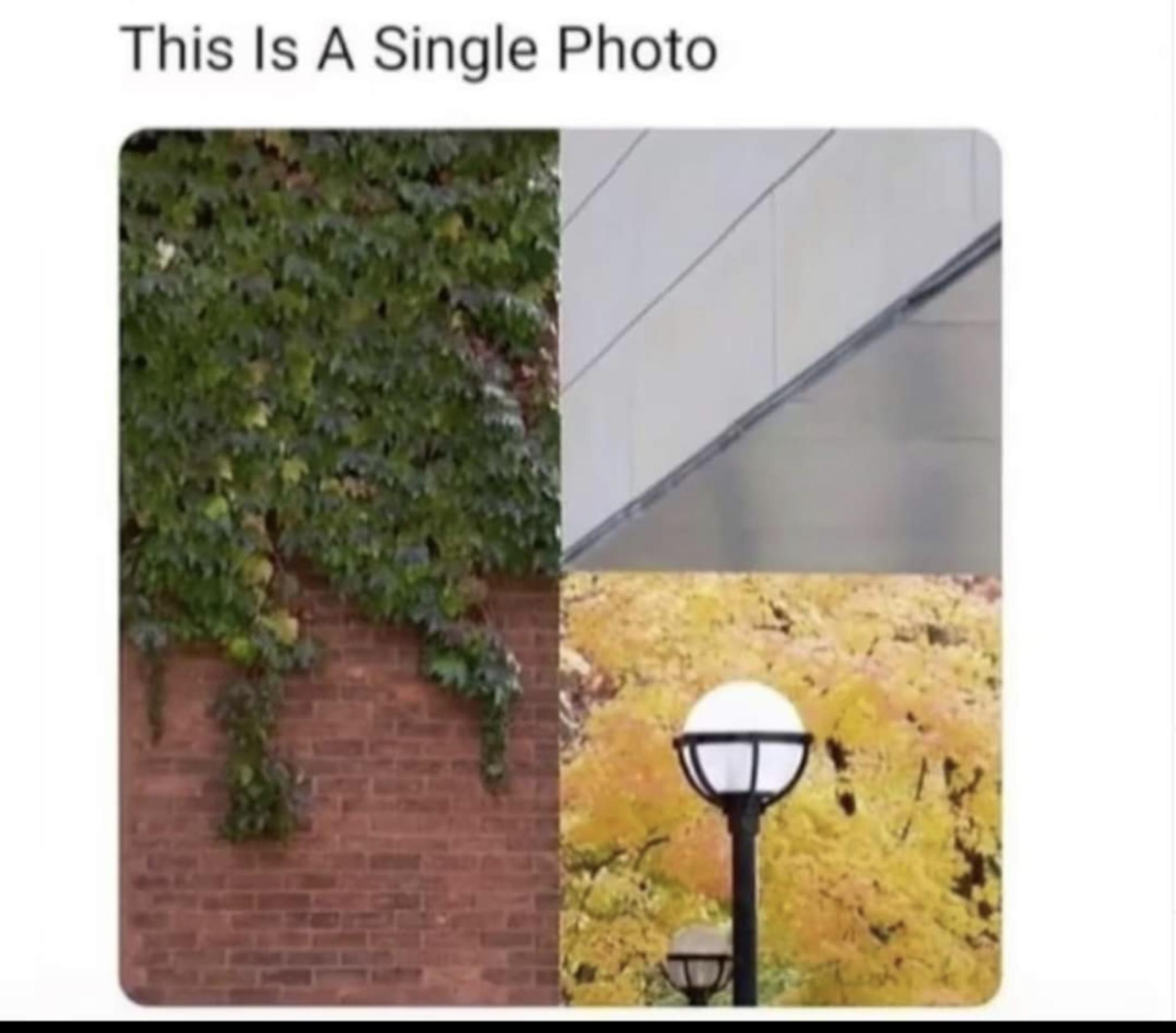 This Is A Single Photo