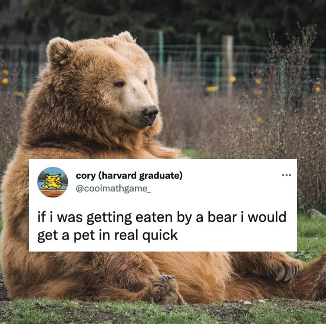cory harvard graduate coolmathgame if i was getting eaten by a bear i would get a pet in real quick