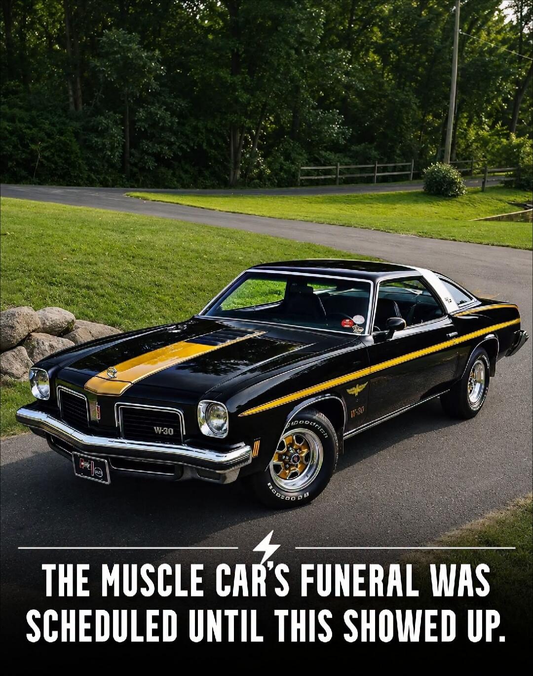 THE MUSCLE CAR'S FUNERAL WAS SCHEDULED UNTIL THIS SHOWED UP.