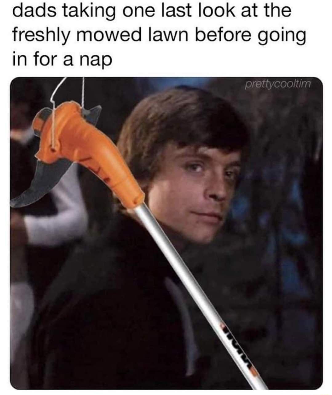 dads taking one last look at the freshly mowed lawn before going in for a nap