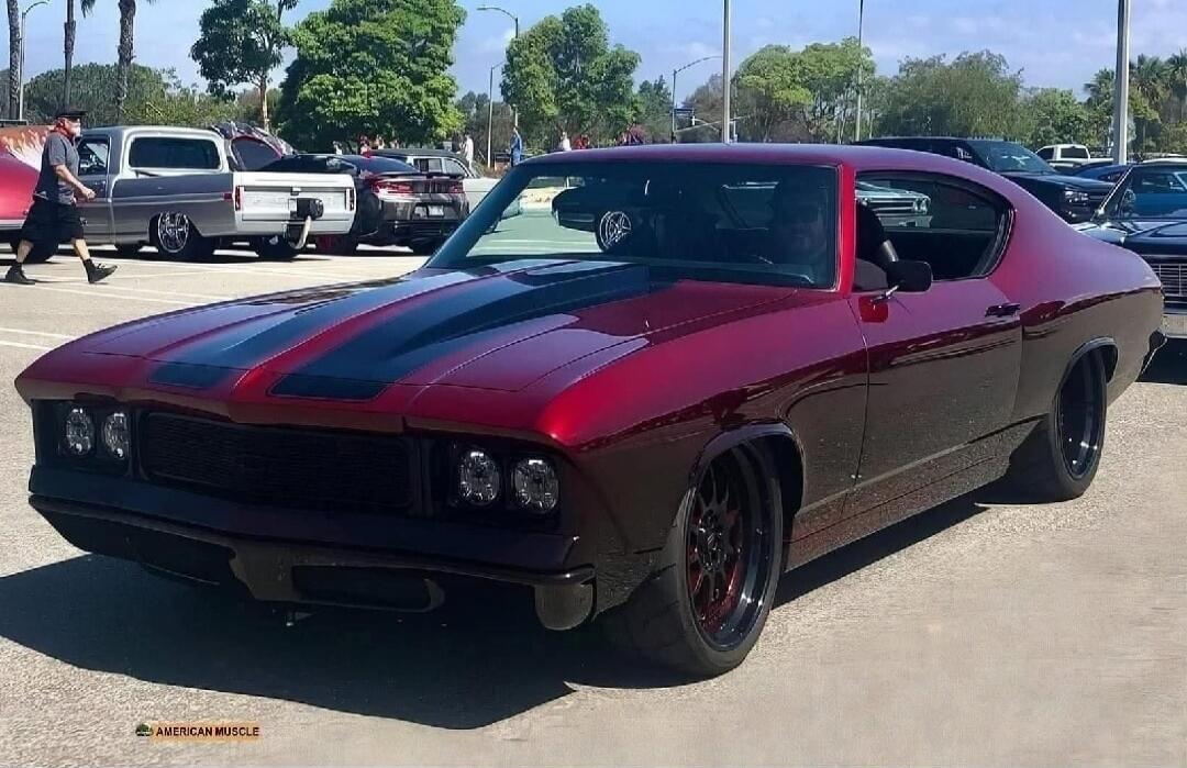 AMERICAN MUSCLE