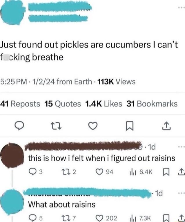 Just found out pickles are cucumbers cant f cking breathe 525PM 1224 from Earth 113K Views 41 Reposts 15 Quotes 14K Likes 31 Bookmarks o it V A RS e this is how i felt when i figured out raisins Q3 2 Qo ek What about raisins Os Q7 Q202 73k 4 1d