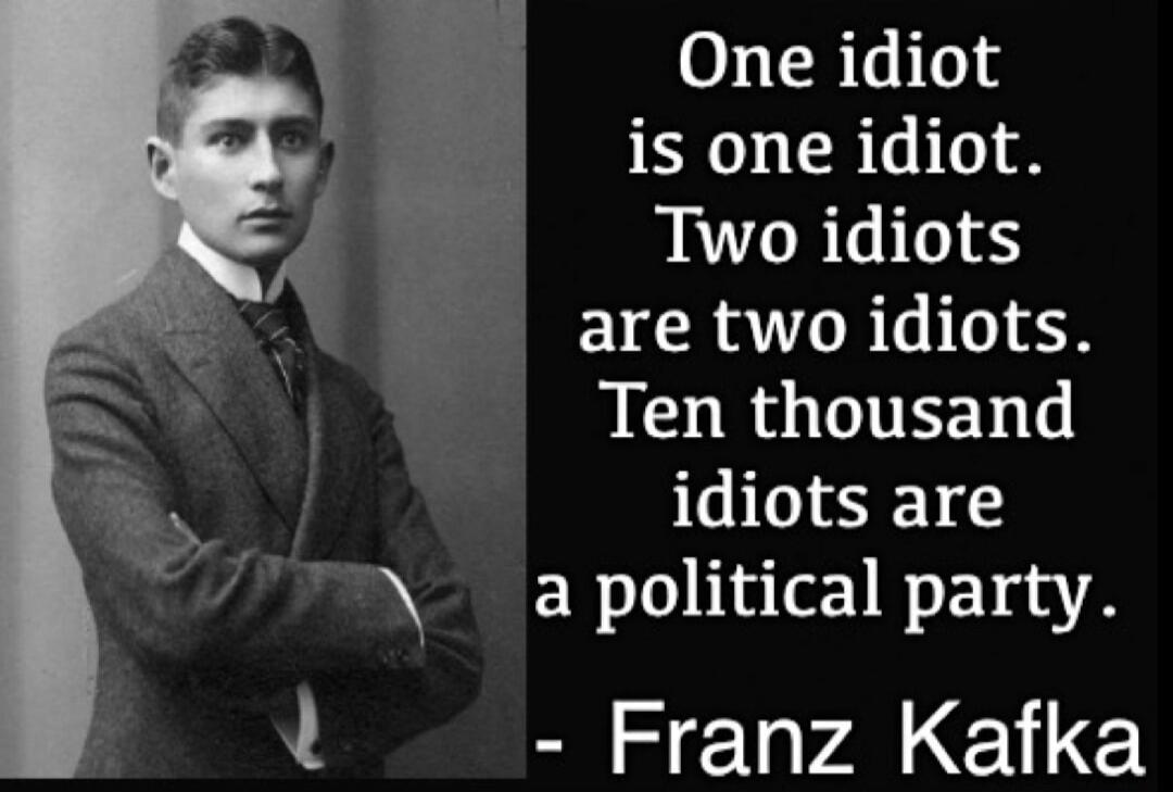One idiot is one idiot. Two idiots are two idiots. Ten thousand idiots are a political party. - Franz Kafka