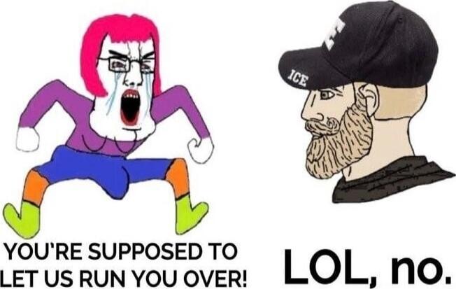 YOU'RE SUPPOSED TO LET US RUN YOU OVER! LOL, no.