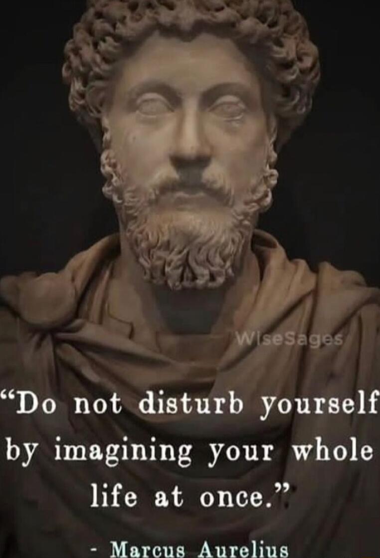 A i Do not disturb yourself by imagining your whole life at once Marcus Aurelius