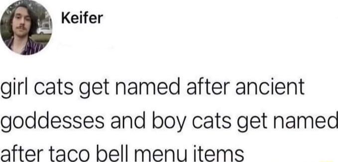 Q Keifer girl cats get named after ancient goddesses and boy cats get named after taco bell menu items