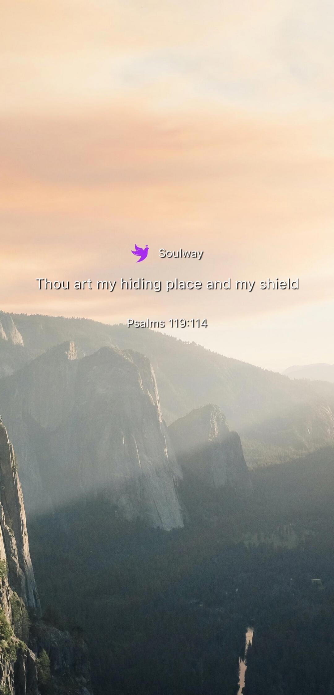 Soulway Thou art my hiding place and my shield Psalms 119:114